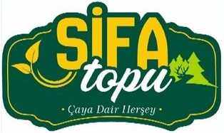 Şifa Topu